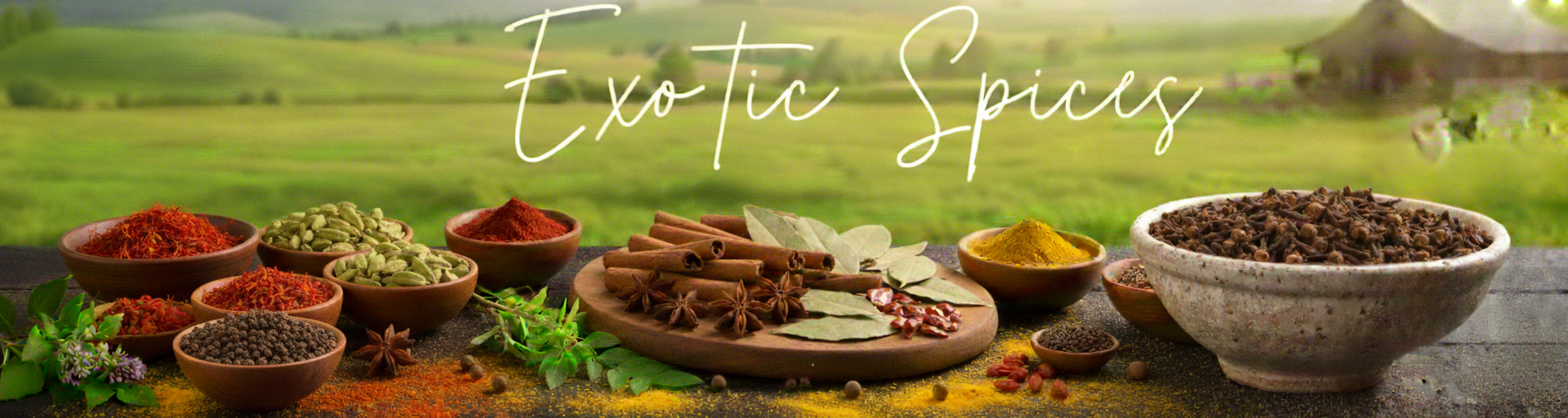 Spices_banner_alternative
