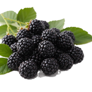 Black berry