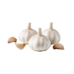 Garlic