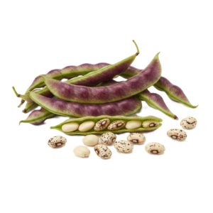 Hyacinth beans