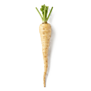 Parsnip