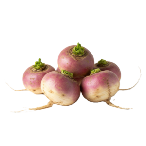 Turnip